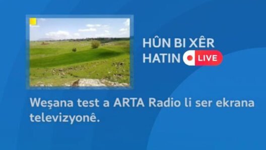 راديو آرتا على التلفزيون Arta Fm