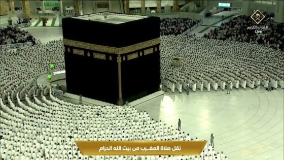 بث مباشر لقناة القرآن الكريم