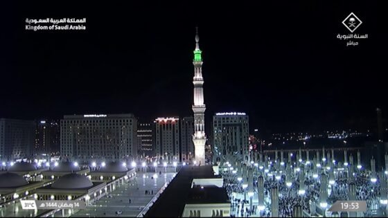 قناة السنة النبوية بث مباشر Madinah Live TV HD اليومية